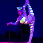 Circo Price Navidad en Madrid