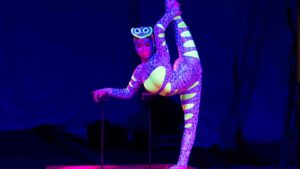 Circo Price Navidad en Madrid